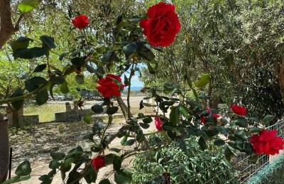 Villa Azzurra Fronte Mare - Foto 35