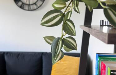 Stilvoll-Fewo mit Garten - Photo 23