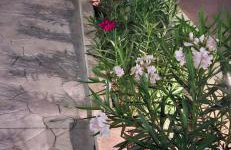 AIR-IN Rooms with magnificent views - Foto 67