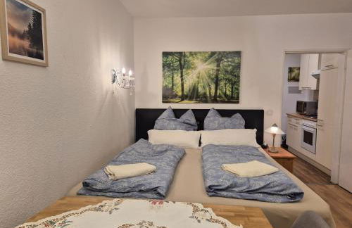 NaturBlick am Rothaarsteig neue moderne Ferienwohnung mit 2 Badezimmern 2 Küchen inklusive Highspeed Internet Flatrate 2x XXL Boxspringbett 2x Terrassen und 2x PKW Parkplätze 10 Minuten bis Willingen Ideal für Touristen und Geschäftsleute mit MWStRechnung - Foto 1