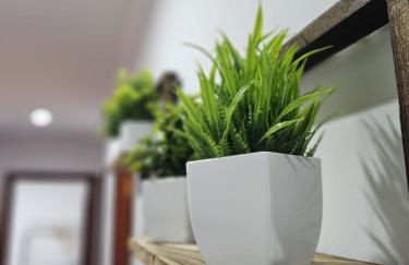 A dos Piscos - Foto 18