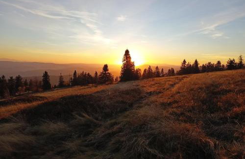 Mogielicki Zakątek - Photo 24