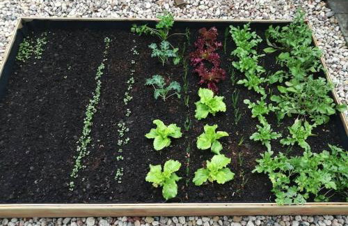 Parkowa Garden - Foto 13