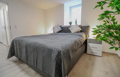 FeWoMo Stilvolles EG Appartment, Brauneberg, 4 Pers, Boots Slipanlage, Moselradweg, Seniorengerecht - Foto 6