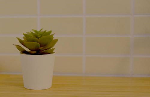 Ocean Home - No Stress Holidays - Foto 33