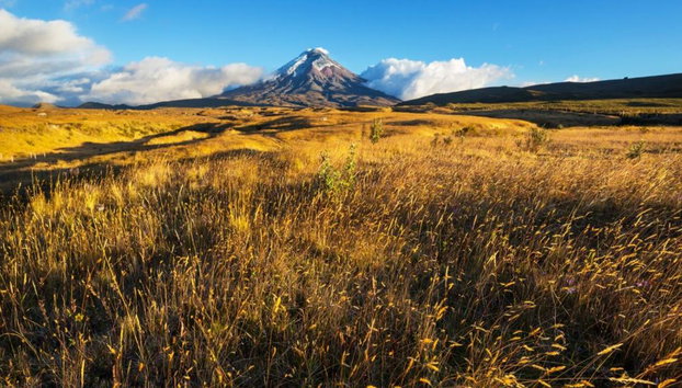Cotopaxi und Quilotoa Tour - Foto 4