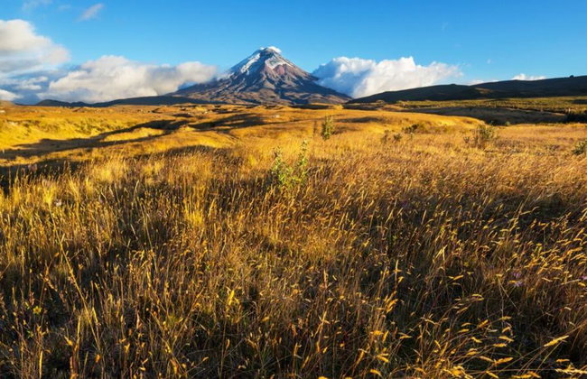 Cotopaxi und Quilotoa Tour - Foto 4