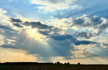 Apartamenty i Winnica - Siedlisko Na Polanie - Foto 49