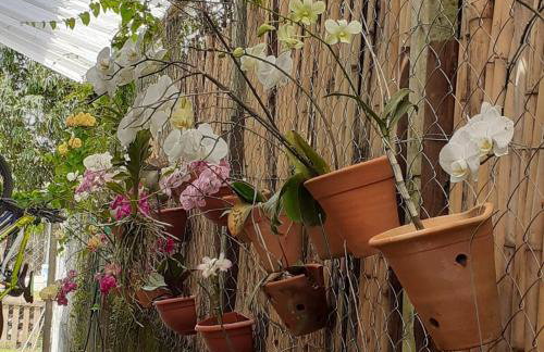 Querência MaeDa - Photo 73