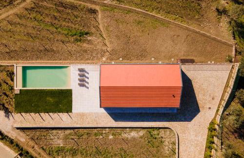 Douro Valley Luxury Home with Vineyard and Infinity Pool - Photo 5