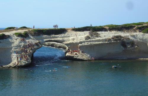 Il Nespolo - Foto 47