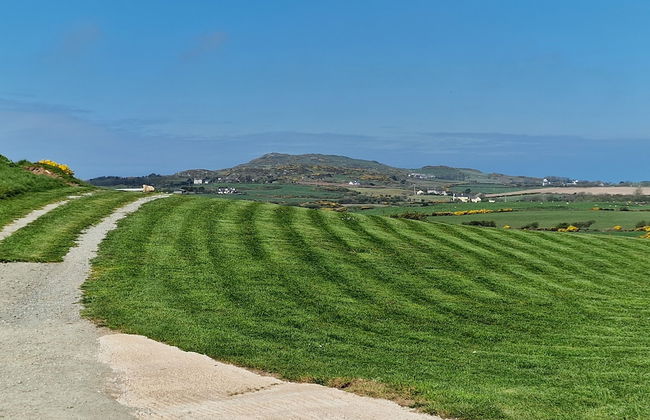 Swift Vogue Edition Caravan - Photo 29