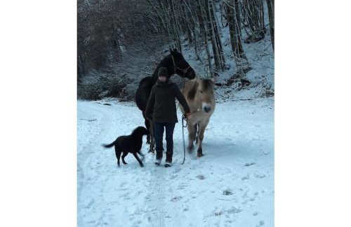 Main building Neumühle - Foto 18