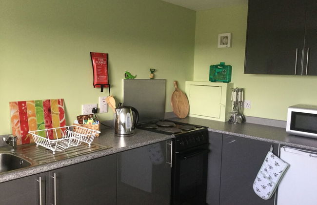 Green Yurt With Hot Tub - Sleeps 3, Parking & Wifi - Photo 4