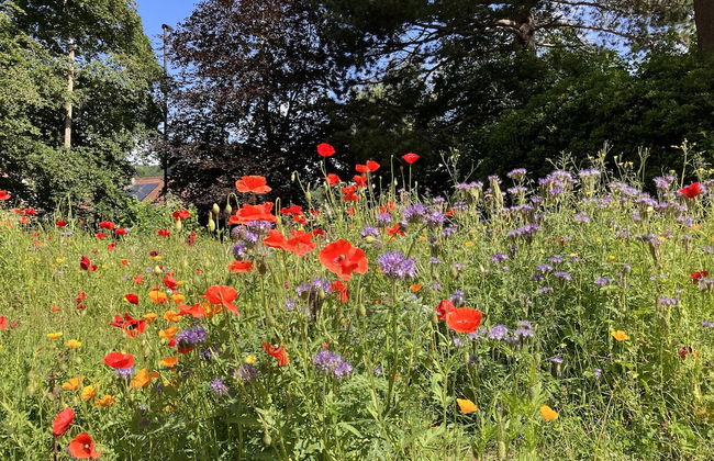 Chic City Centre Georgian Maisonette - Foto 38