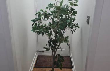 Lovely 2 Bedroom Garden Flat in trendy West End - Foto 8