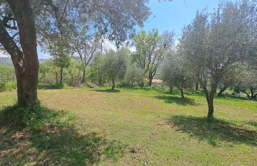 Villa Quattro Castagni - Foto 29