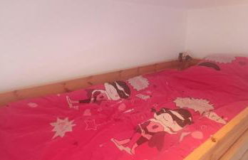 Spacieux appartement au pied des pistes - Foto 14