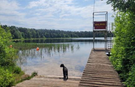 Schöner Winkel - Foto 36