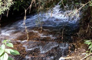 Bangalô - Sítio Cachoeiras do Caledônia - Foto 35