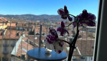 Centro Stazione Attico - Foto 5