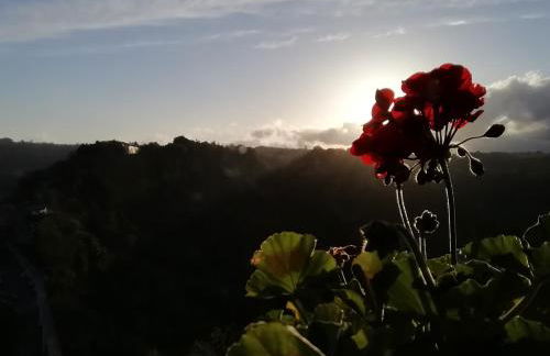 Gerani Rossi - Foto 18