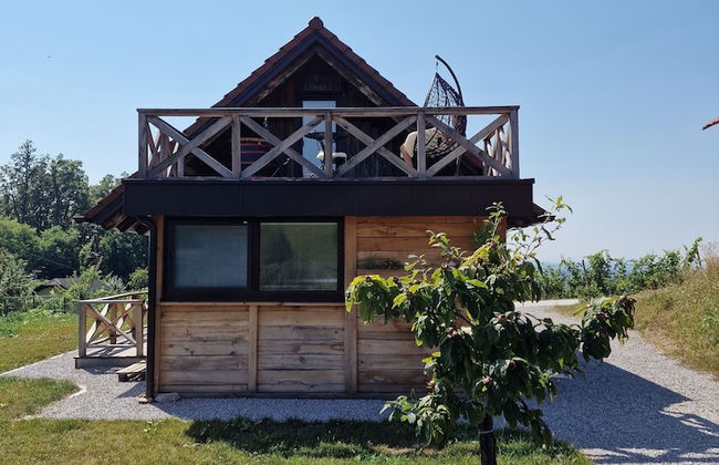 Vineyard cottage Vinska grajska kašča - Foto 43