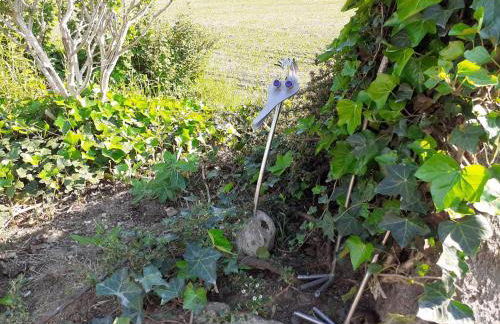 Mattheishof - Foto 32