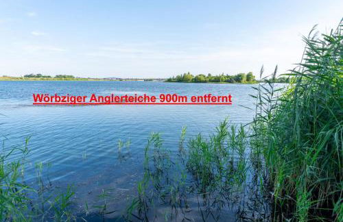 Landhaus Ruheoase - dennoch mittendrin - Natur, Städte & Harz - Foto 12