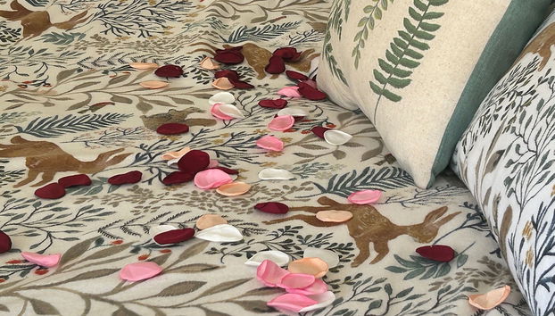 Cosy Devon Retreat Woodland Views - Foto 4, Zimmer