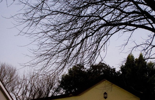 Avo and Oak - Foto 47