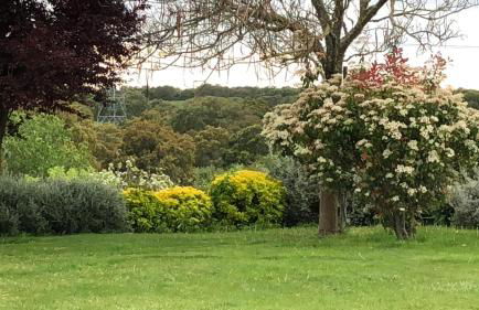 Monte da Boavista - Country family house - Foto 10