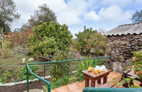 La Vega Rural - Foto 35