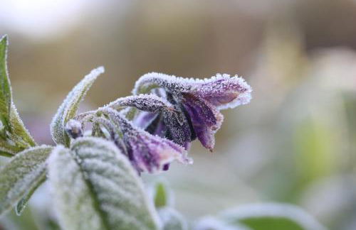 Quinta da Estrela - Foto 43