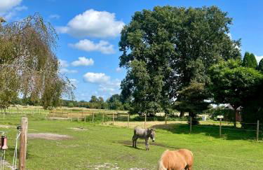 Knut's Nest - Foto 23