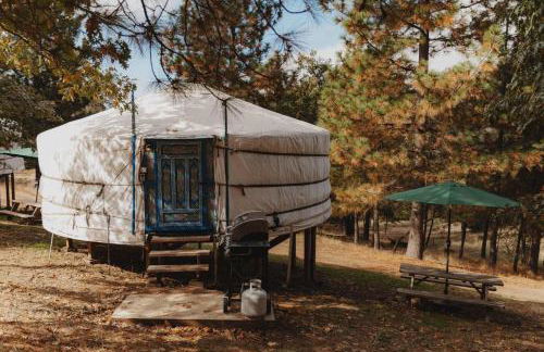 Cosy yurt at a nature retreat in Dunlap CA - Photo 1