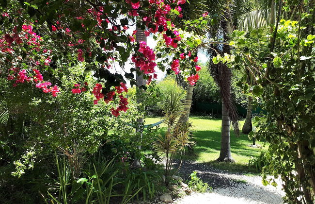 Gîte Cannelle - Foto 34