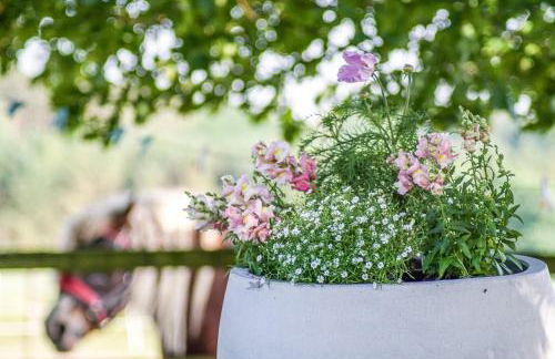 Ferienwohnung Nina - Foto 22