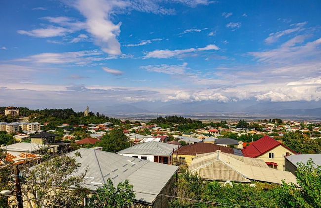 Hotel Horizont Telavi - Photo 10