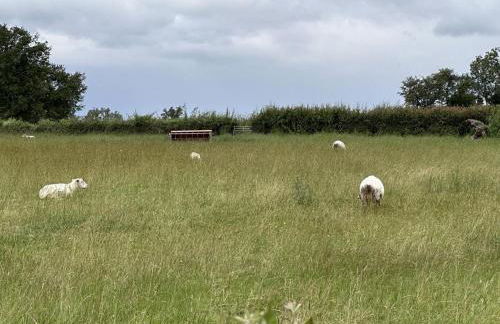 Gîte de l'Espinasse : Charme bucolique, animaux acceptés - FR-1-489-535 - Foto 23