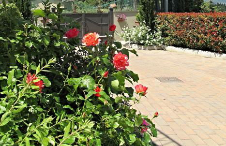 Residence Fiesole - Foto 28