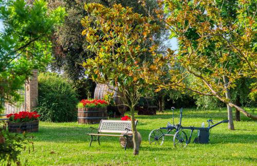 Agriturismo Le Terre del Casale - Photo 9