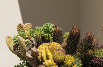 Palamoutaki Villa - Foto 78