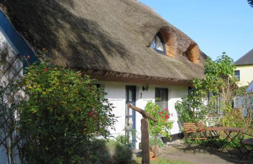 Landhaus Darss - Foto 44