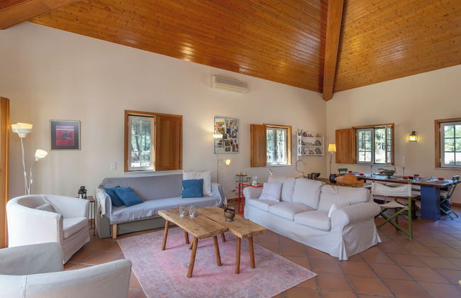 Herdade de Montalvo - Foto 66