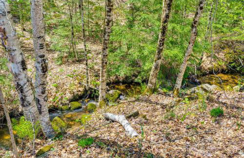 Hike, Fish and Ski Black Bear Cabin in Albany - Foto 22