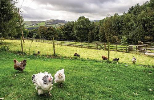 2 Bed in Hope Valley oc-pk431 - Foto 27