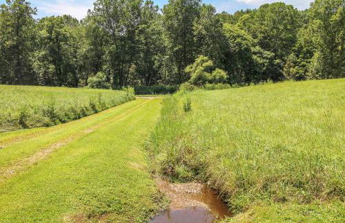 Country Classic - Foto 20