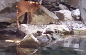 Podere Pian di Cava - Foto 18