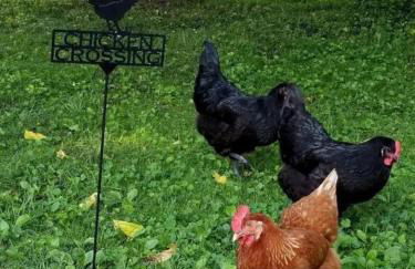 Sweet Chic Farm Cottage with Pool, Hot-Tub and Beautiful Sunsets in Maryland - Foto 41